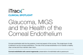 NovaEye_iTrack_Glaucoma-MIGS-corneal-endothelium_br_xxx_en.pdf