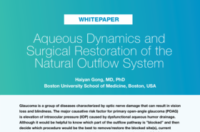NovaEye_iTrack_Gong-Feb20-aqueous-dynamics_wp_xxx_en.pdf