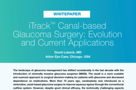 NovaEye_iTrack_Lubeck-Evolution-of-Canal-Based-Glaucoma-Surgery_wp_xxx_en.pdf