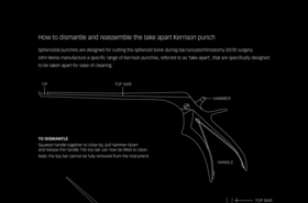 JohnWeiss-extraocular-anatomy_fl_xxx_en.pdf