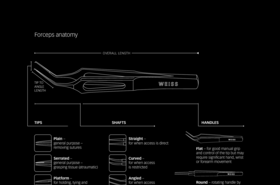 JohnWeiss-forceps-anatomy_fl_xxx_en.pdf