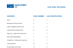 HS-UK_Labour_Standards_Assurance_System_Policy.pdf