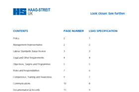 HS-UK_Labour_Standards_Assurance_System_Policy.pdf